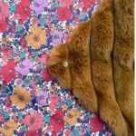 Fourrure cognac - liberty meadow song